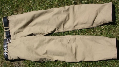 Pantalone revit alpha - revit,